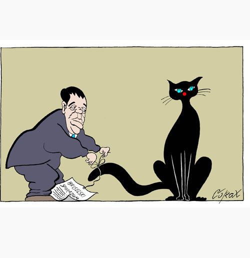 Corax 12
