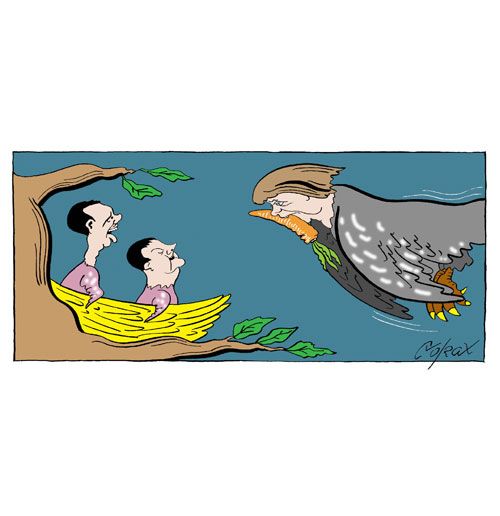 Corax 14