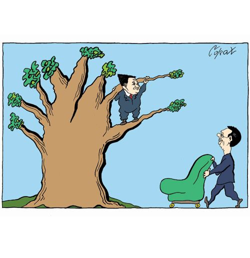 Corax 8