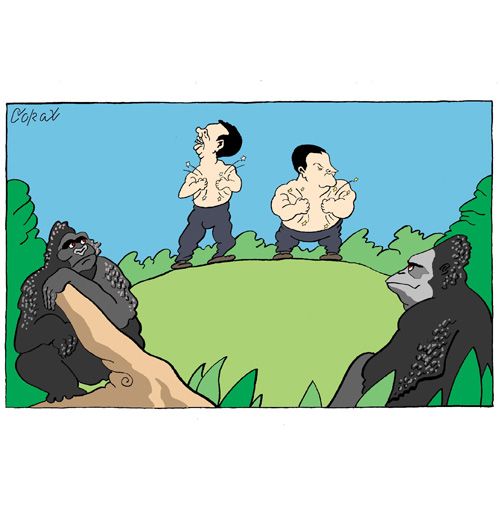 Corax 12