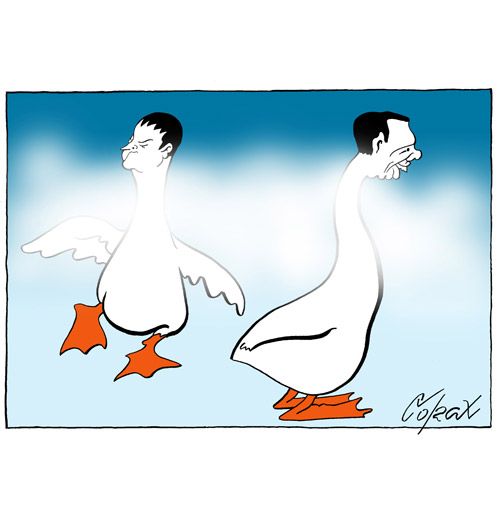 Corax 12