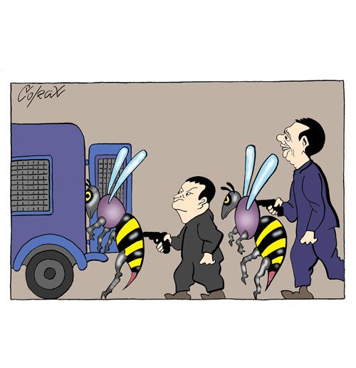 Corax 7