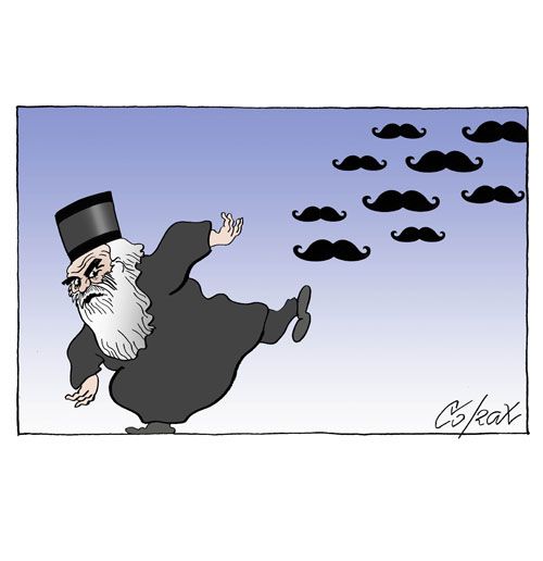 Corax 6
