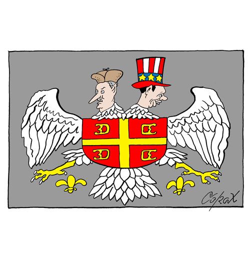 Corax 15
