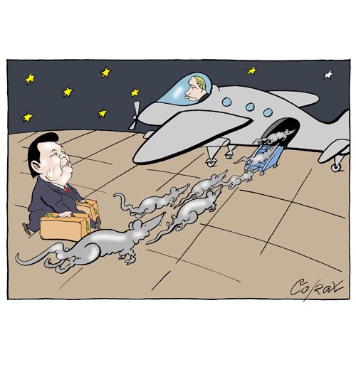 Corax 7