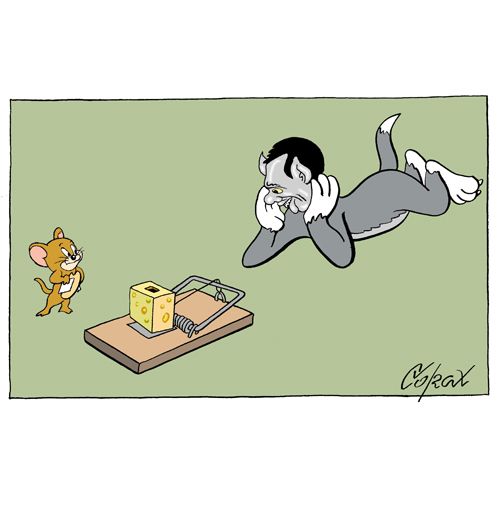 Corax 12
