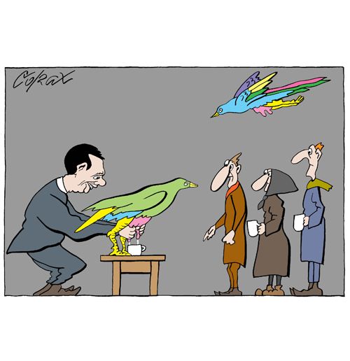 Corax 8