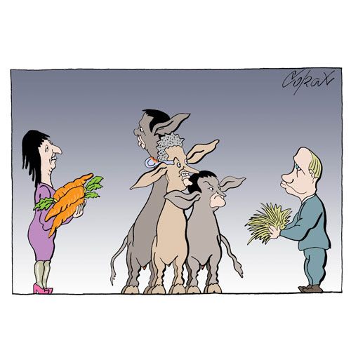 Corax 6