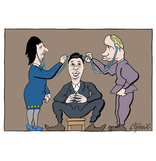 Corax 8