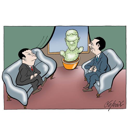Corax 7