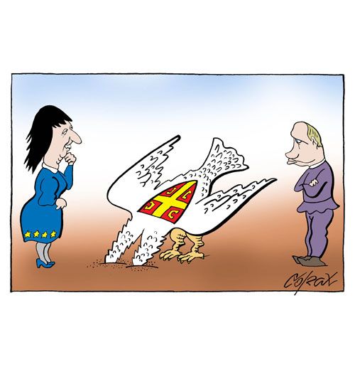 Corax 5