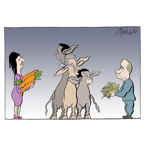 Corax 15