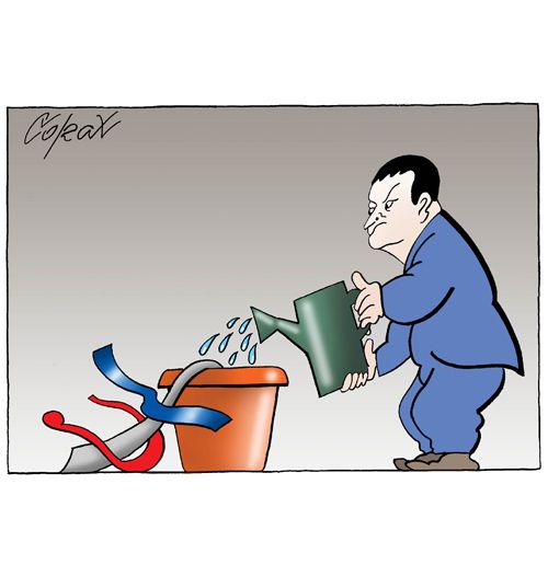 Corax 6