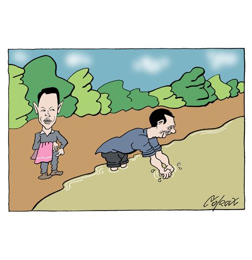 Corax 15