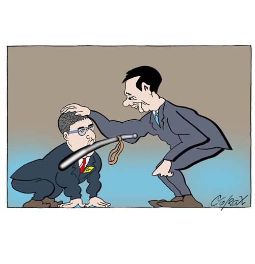 Corax 7
