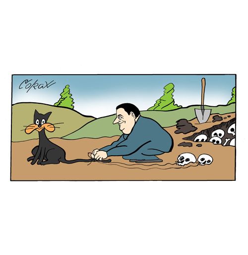 Corax 14