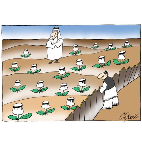 Corax 9