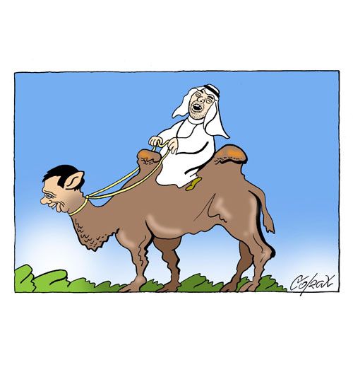 Corax 12