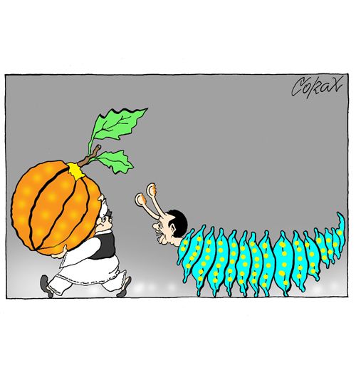 Corax 2