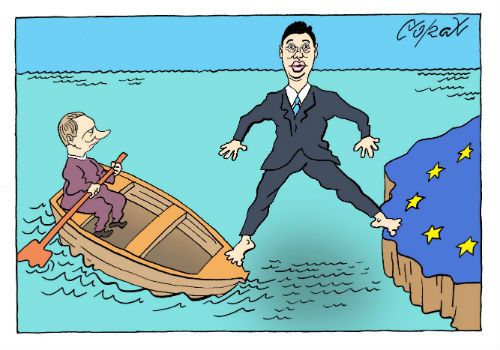 Corax 5
