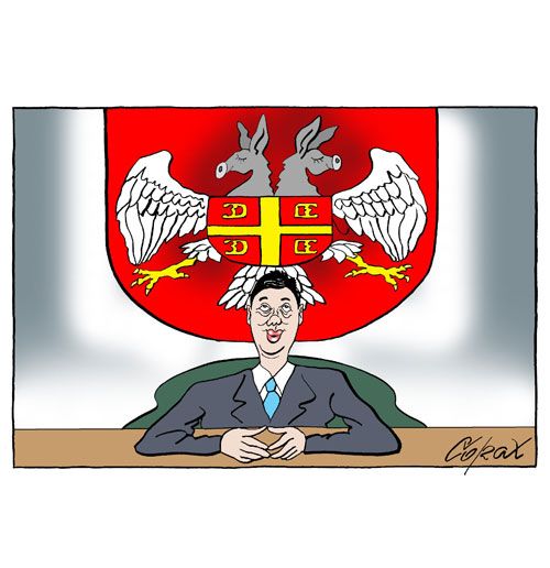 Corax 11