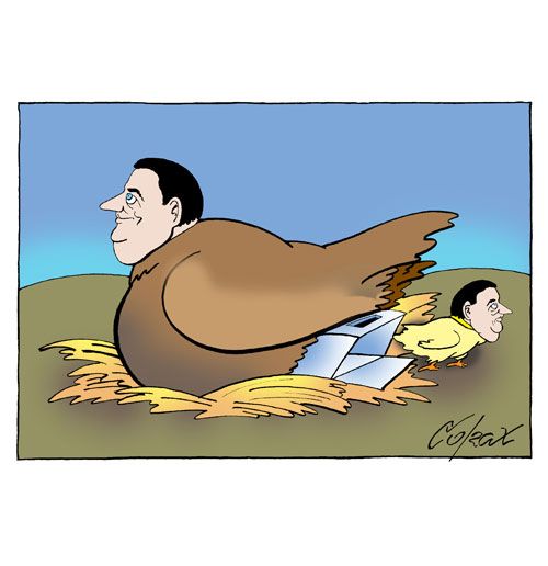 Corax 5