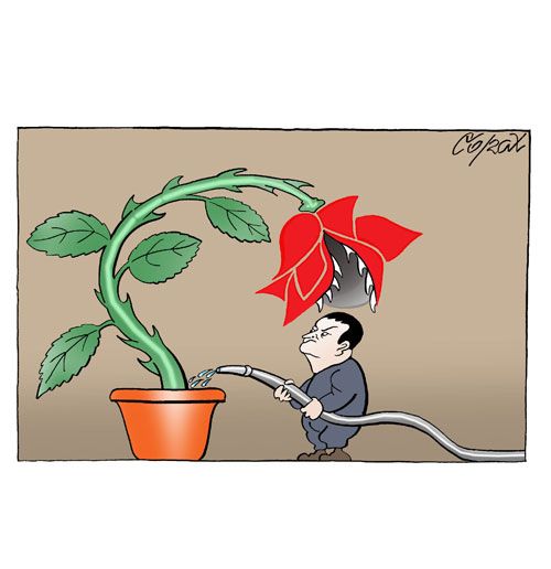 Corax 12