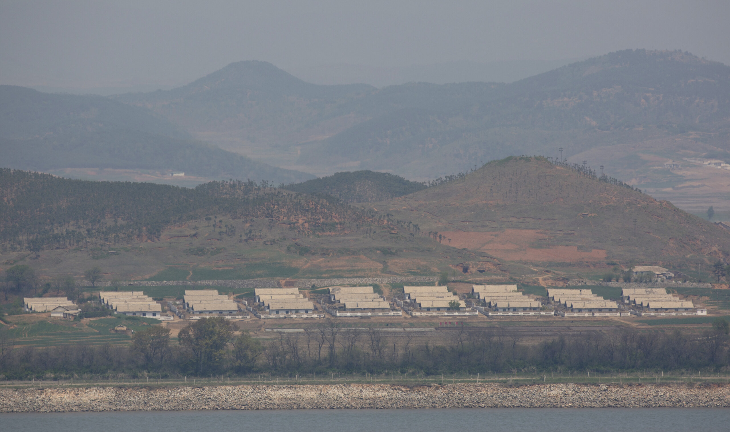 Liker od borovnice na granici dve Koreje 3 Liker od borovnice na granici dve Koreje 3