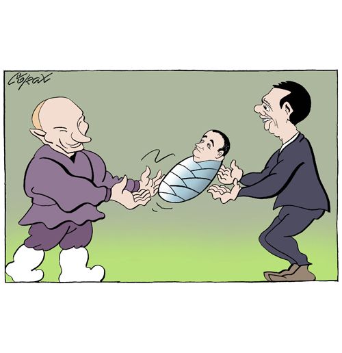 Corax 8