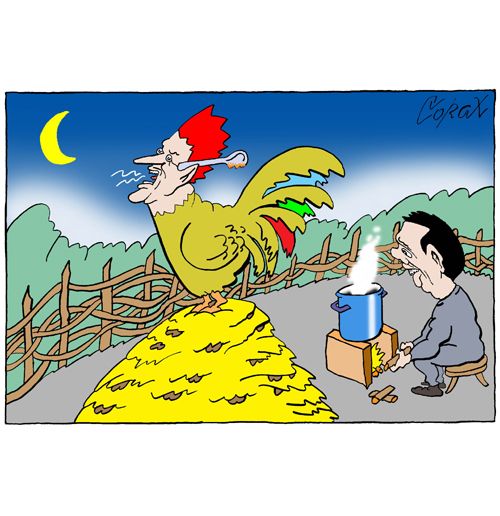Corax 8