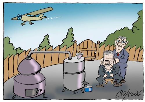 Corax 12