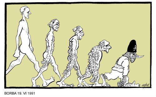 Corax 10