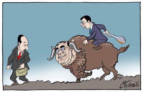 Corax 7