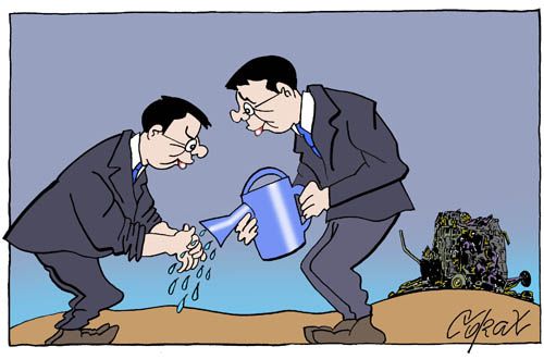 Corax 7