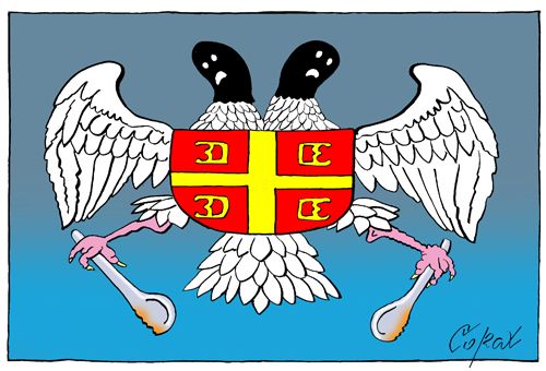 Corax 14