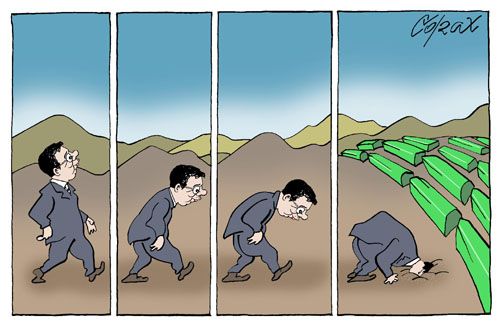 Corax 6