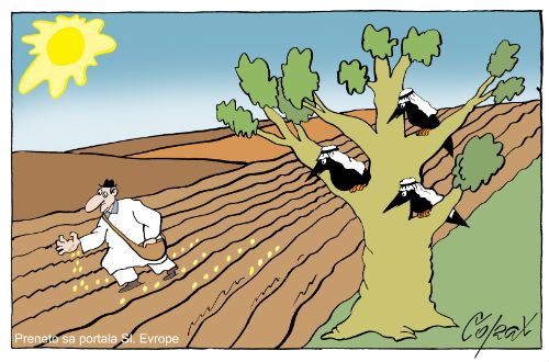 Corax 3