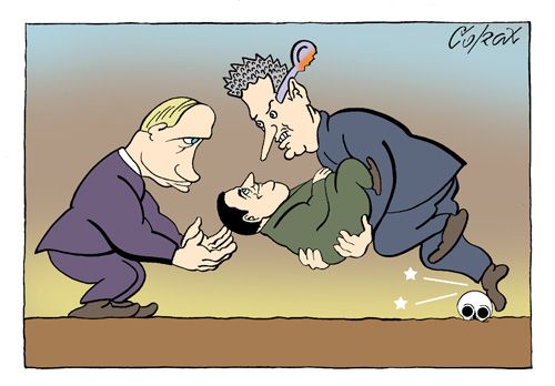 Corax 8