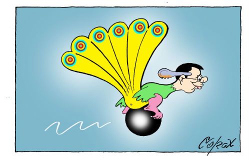 Corax 14