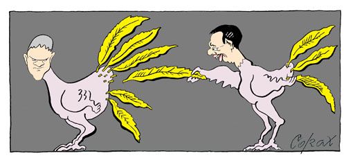 Corax 15