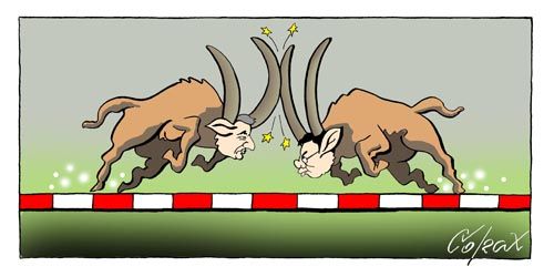 Corax 12