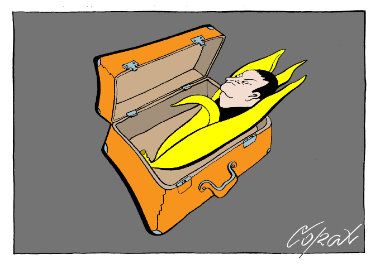 Corax 12