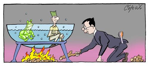 Corax 14