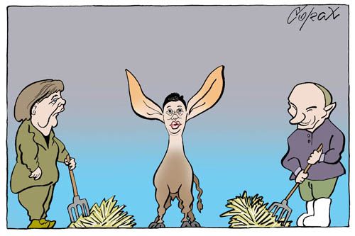Corax 7