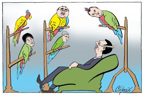 Corax 7
