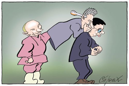 Corax 8