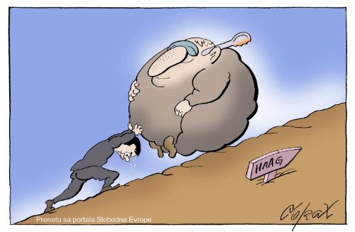 Corax 7