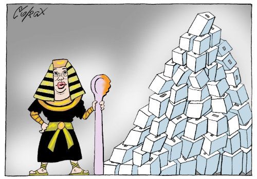 Corax 7