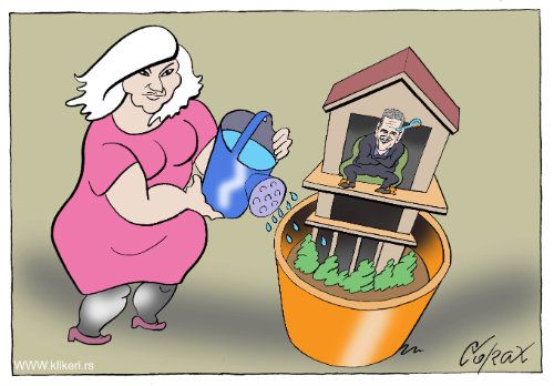 Corax 11