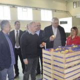 Vesić: Grad će pomoći razvoj porodičnih firmi 1